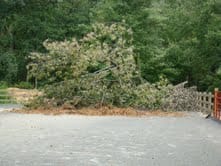 califon_nj_hurr_irene_1