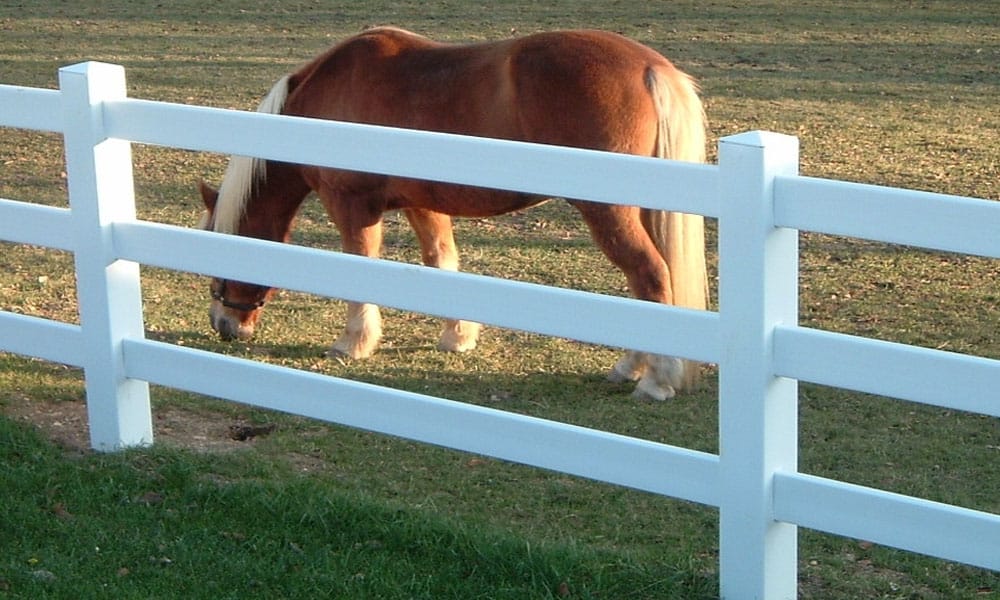3 Rail HDPE Fencing for horses, livestock and animal containment