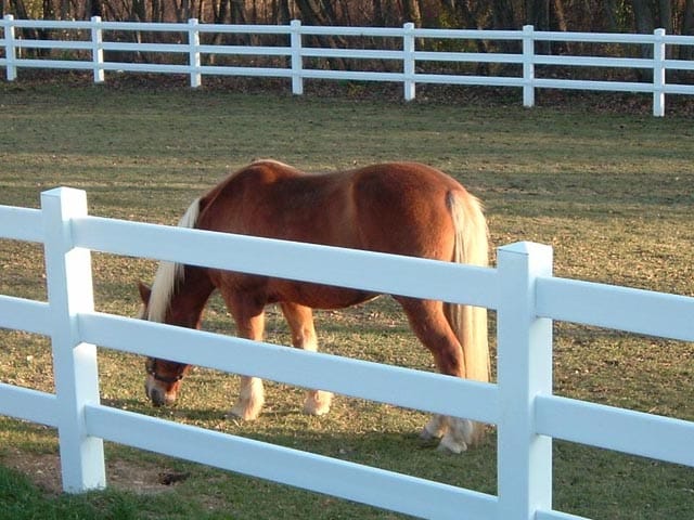 durable horse fencing 2