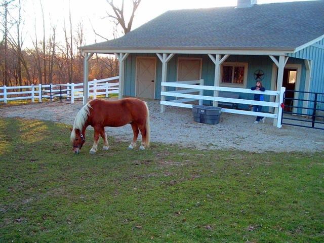 white 3 rail HDPE horse fence 2