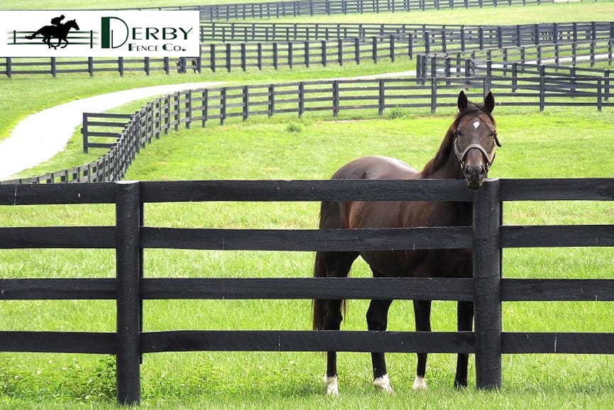 The Aesthetics of HDPE Fencing Modern Design Meets Durability The Aesthetics of HDPE Fencing Modern Design Meets Durability