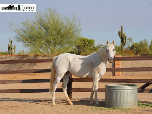 horse image The Low-Maintenance Advantage of HDPE Over Traditional Wood Fences